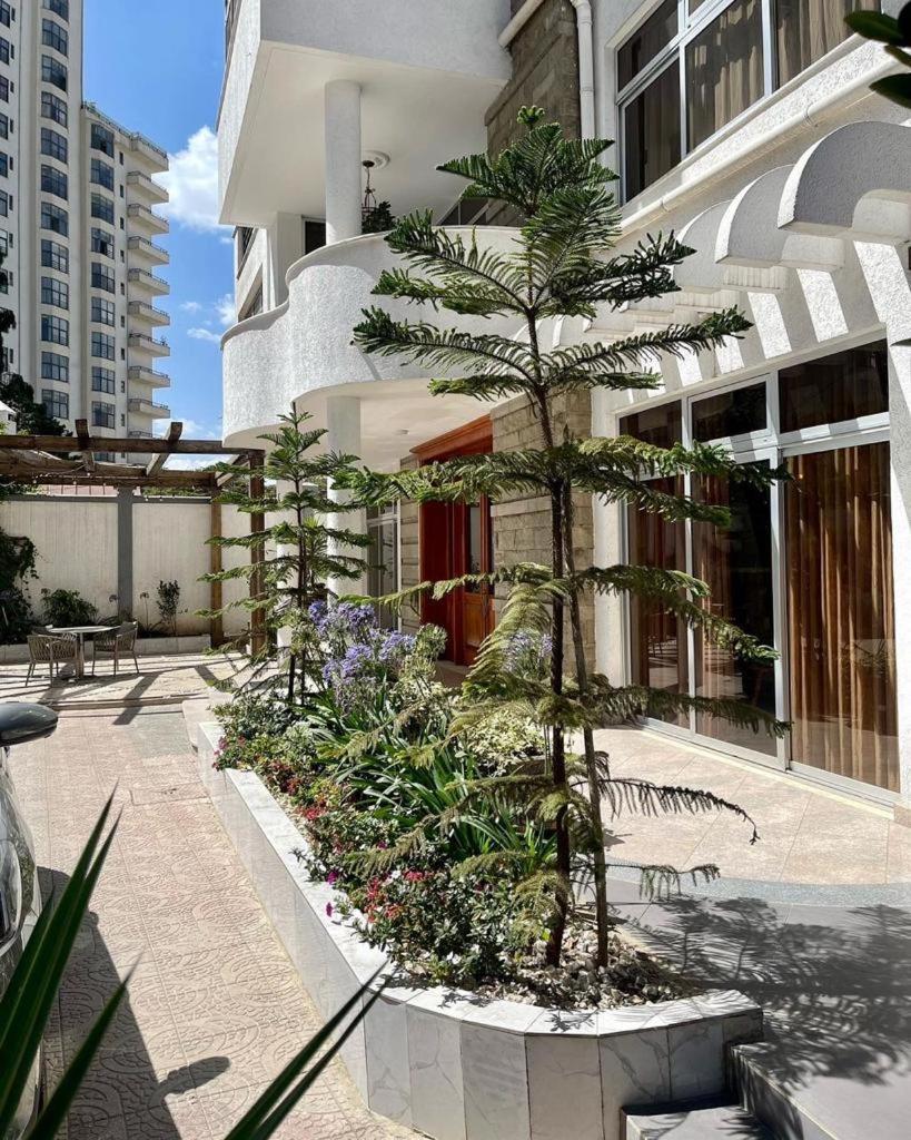 مبيت وإفطار أديس أبابا Social House المظهر الخارجي الصورة